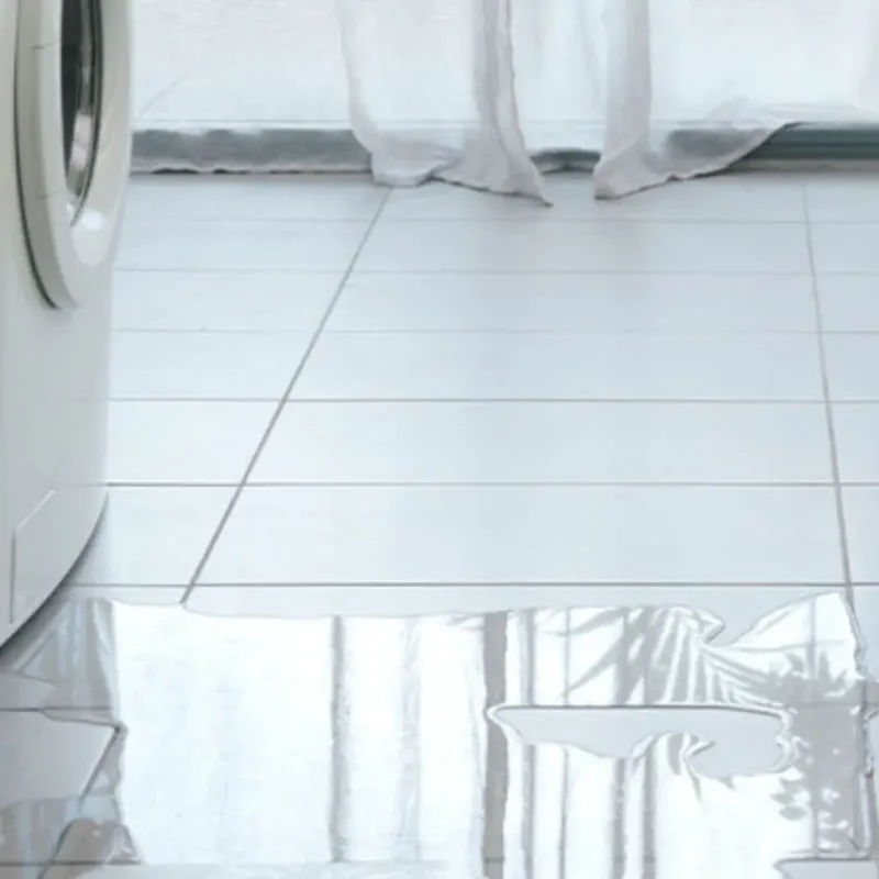 Appliance Leak Cleanup in Hale County, AL