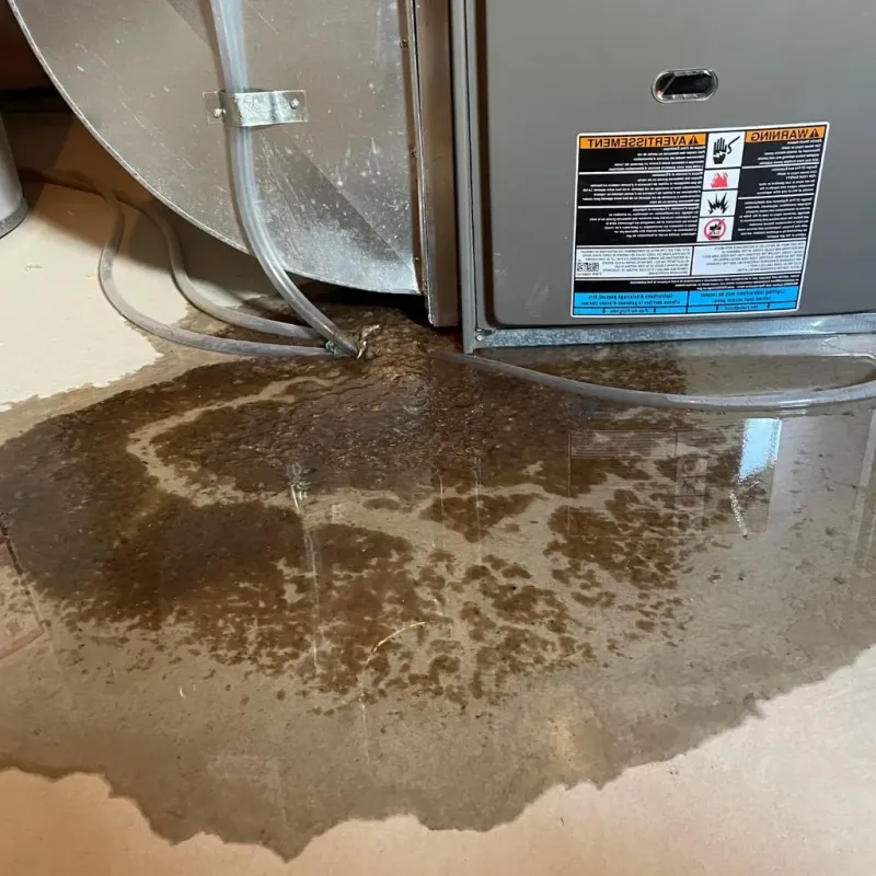 Pipe Burst and Leak Restoration in Hale County, AL