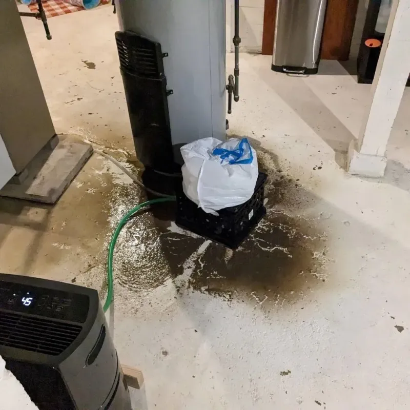 Sewage Backup Cleanup Service in Hale County, AL